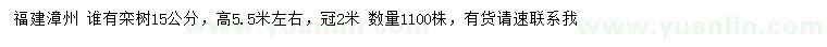 求購(gòu)15公分欒樹(shù)