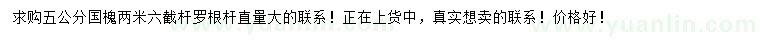 求購5公分國槐