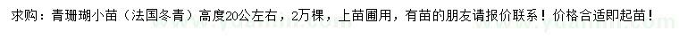 求購高20公分青珊瑚小苗（法國冬青）