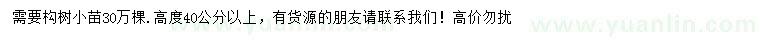 求購高40公分以上構(gòu)樹小苗