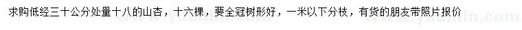 求購地徑30公分處量18公分山杏