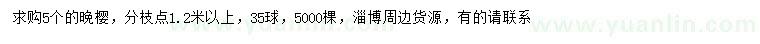 求購5公分晚櫻