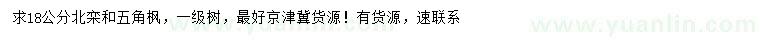 求購(gòu)18公分北欒、五角楓