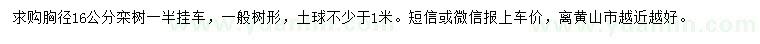 求購胸徑16公分欒樹