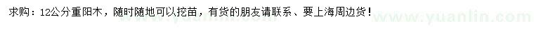 求購(gòu)12公分重陽(yáng)木