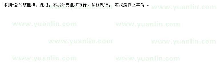 求購(gòu)7公分國(guó)槐