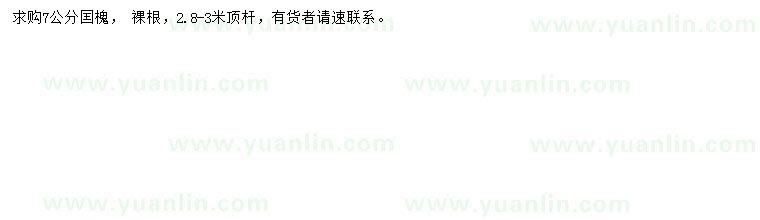 求購7公分國槐