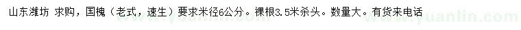 求購米徑6公分國槐