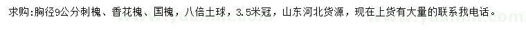 求購(gòu)刺槐、香花槐、國(guó)槐