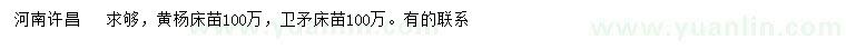 求購黃楊床苗、衛(wèi)矛床苗