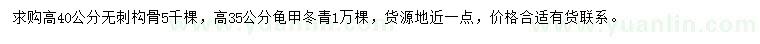 求購高40公分無刺構(gòu)骨、高35公分龜甲冬青