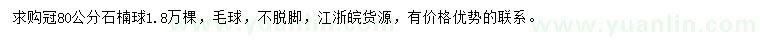 求購(gòu)冠80公分石楠球