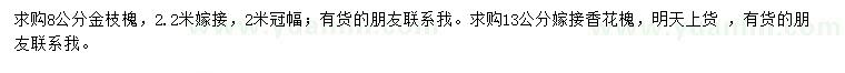 求購8公分金枝槐、13公分嫁接香花槐