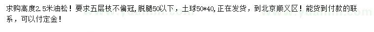 求購高2.5米油松
