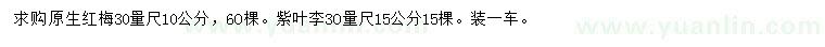 求購30量10公分原生紅梅、15公分紫葉李