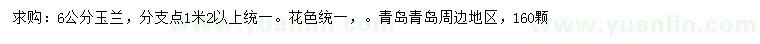 求購6公分玉蘭