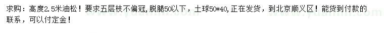 求購(gòu)2.5米油松