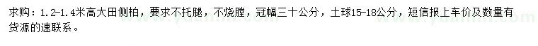 求購(gòu)1.2-1.4米大田側(cè)柏
