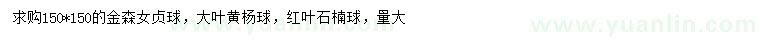 求購金森女貞球、大葉黃楊球、紅葉石楠球