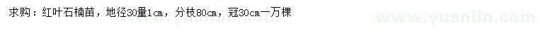 求購地徑30量1公分紅葉石楠苗