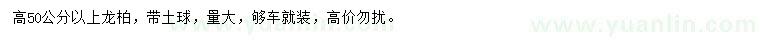 求購高50公分以上龍柏