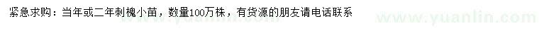 求購當(dāng)年或二年刺槐小苗