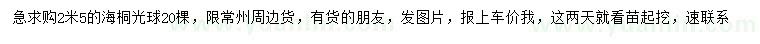求購2.5米海桐光球