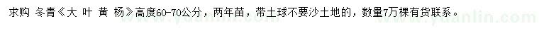 求購(gòu)高60-70公分冬青（大葉黃楊）
