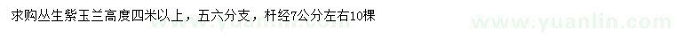 求購桿徑7公分左右叢生紫玉蘭