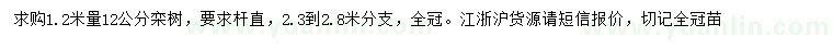 求購1.2米量12公分欒樹