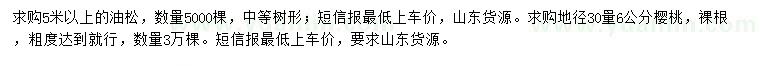 求購5米以上油松、地徑30量6公分櫻桃