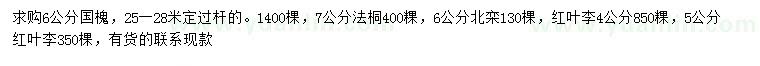 求購國槐、法桐、北欒等