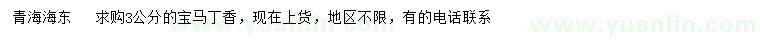 求購3公分暴馬丁香
