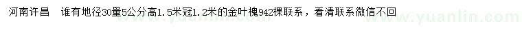 求購(gòu)地徑30量5公分金葉槐