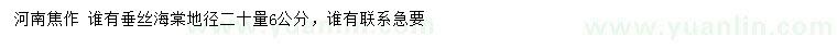 求購(gòu)地徑20量6公分垂絲海棠