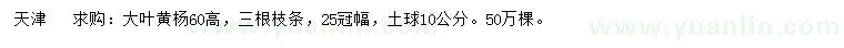 求購(gòu)高60公分大葉黃楊