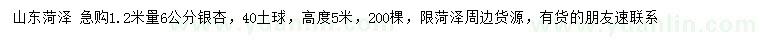 求購1.2米量6公分銀杏