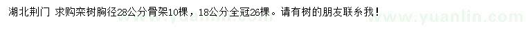 求購胸徑18、28公分欒樹