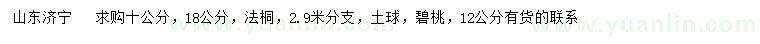 求購10、18公分法桐、12公分碧桃