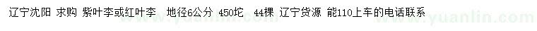求購地徑6公分紫葉李或紅葉李
