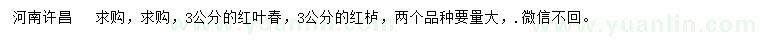 求購(gòu)3公分紅葉春、紅櫨