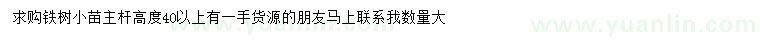 求購高40公分以上鐵樹小苗