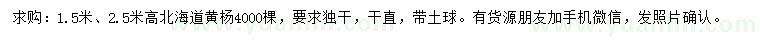 求購高1.5、2.5米北海道黃楊