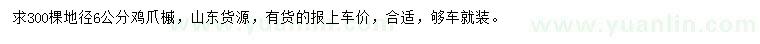 求購(gòu)地徑6公分雞爪槭