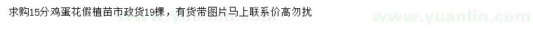 求購15公分雞蛋花假植苗