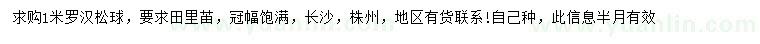 求購1米羅漢松球