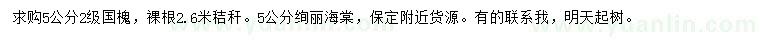 求購5公分國槐、5公分絢麗海棠