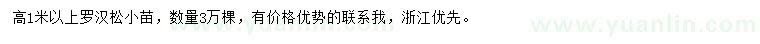 求購(gòu)高1米以上羅漢松小苗