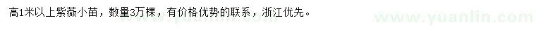 求購高1米以上紫薇小苗