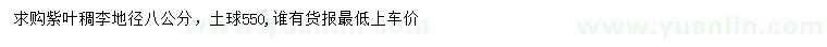 求購地徑8公分紫葉稠李